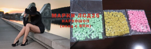гашик Верея