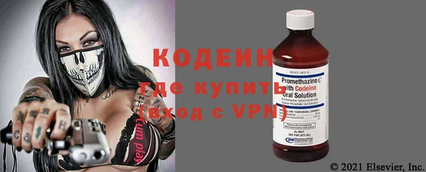 соль ск Тайга