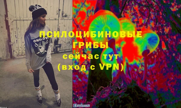 гашиш Бородино