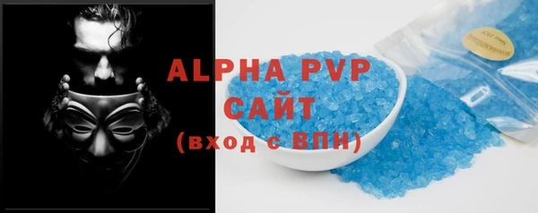 индика Бронницы