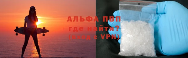 мяу мяу мука Сясьстрой