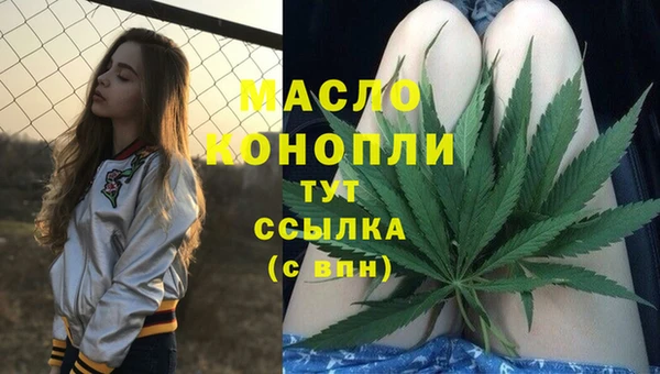 индика Бронницы