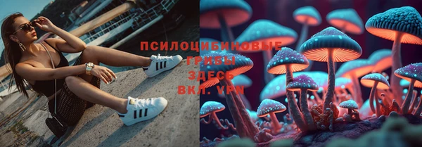 гашик Верея