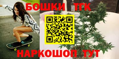 сатива Лесосибирск