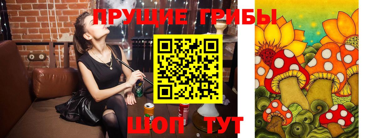 Семилуки  Псилоцибиновые грибы Cubensis  Вход с VPN 
