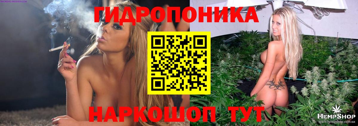 Шишки марихуана AK-47  Вход с VPN  Семилуки  Каннабис VHQ  Каннабис марихуана  Бошки марихуана план 